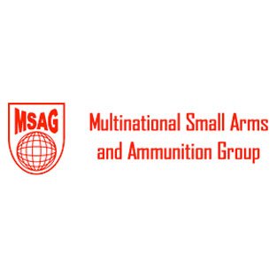 Multinational Small Arms and Ammunition Group (MSAG)